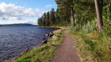 Wandern am Siljan Wandern am Siljan