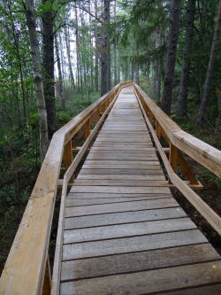 Store Mosse Nationalpark Store Mosse Nationalpark