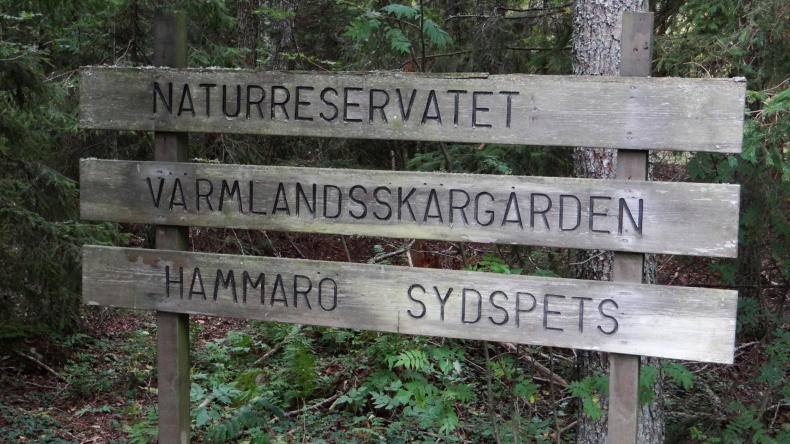 Hammarö südlich von Karlstad
