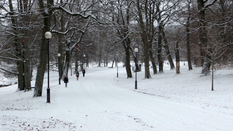 Winter im Slottsskogen
