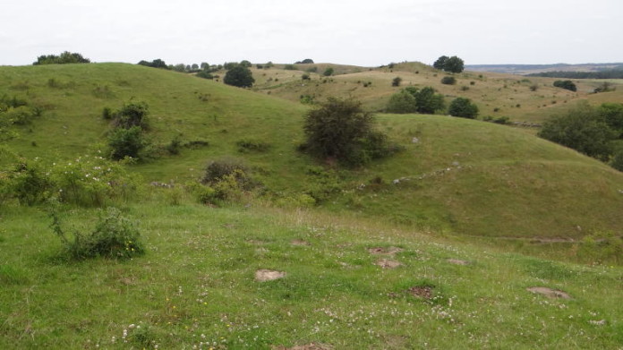 broesarps_backar_oesterlen_04