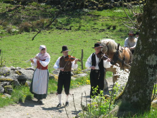 Eine schwedische Bauernhochzeit im Mai, Dorf Äskhult, Kungsbacka