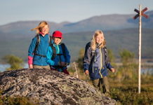 Erlebt die schwedischen Berge im Sommer - Vier Tipps für den Fjäll