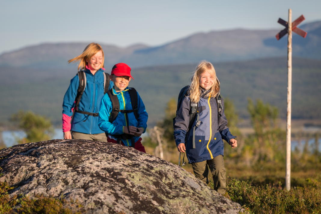 Erlebt die schwedischen Berge im Sommer - Vier Tipps für den Fjäll