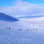 Huskyschlittenfahrt in Kiruna