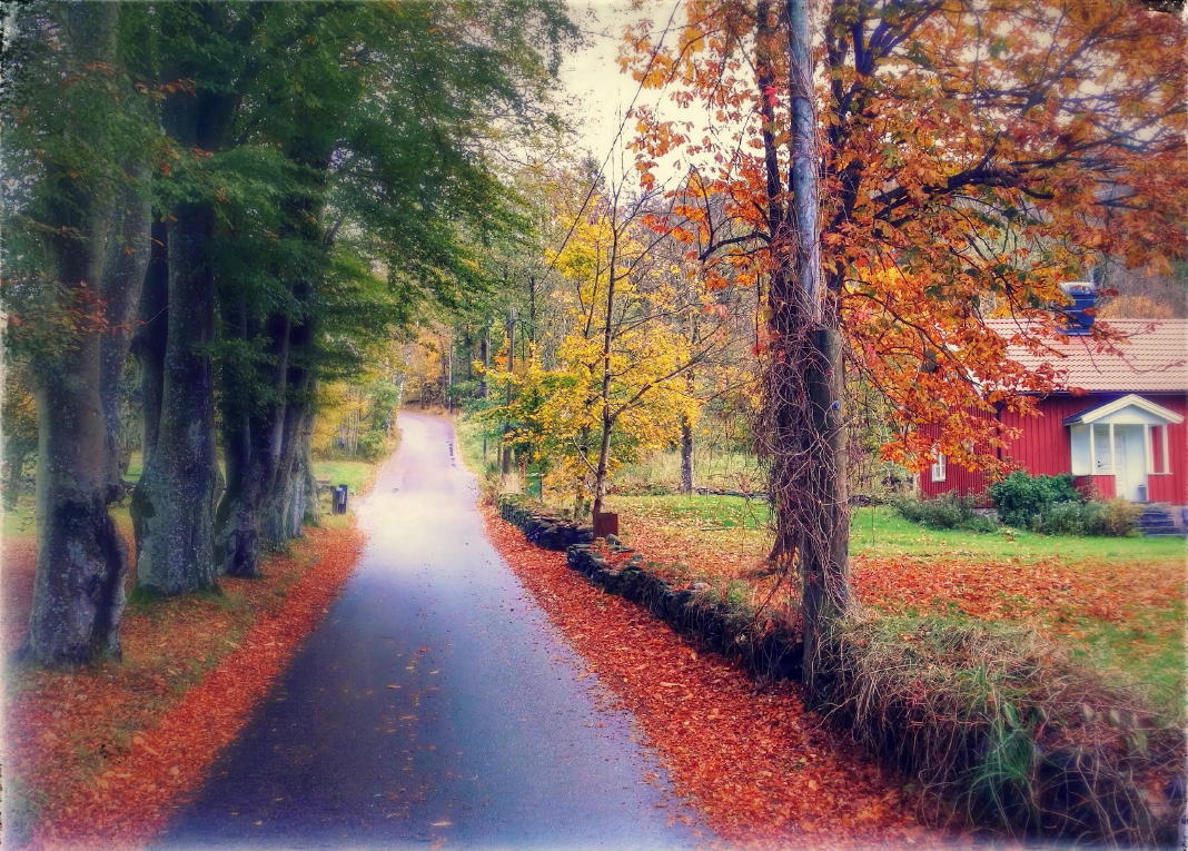 Herbst In Schweden Was Machen Schwedentipps Se