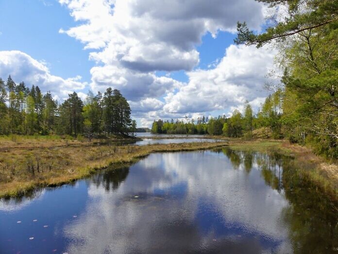 schweden_sommer_2020